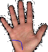 ** PLEASE DESCRIBE THIS IMAGE **