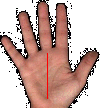 ** PLEASE DESCRIBE THIS IMAGE **